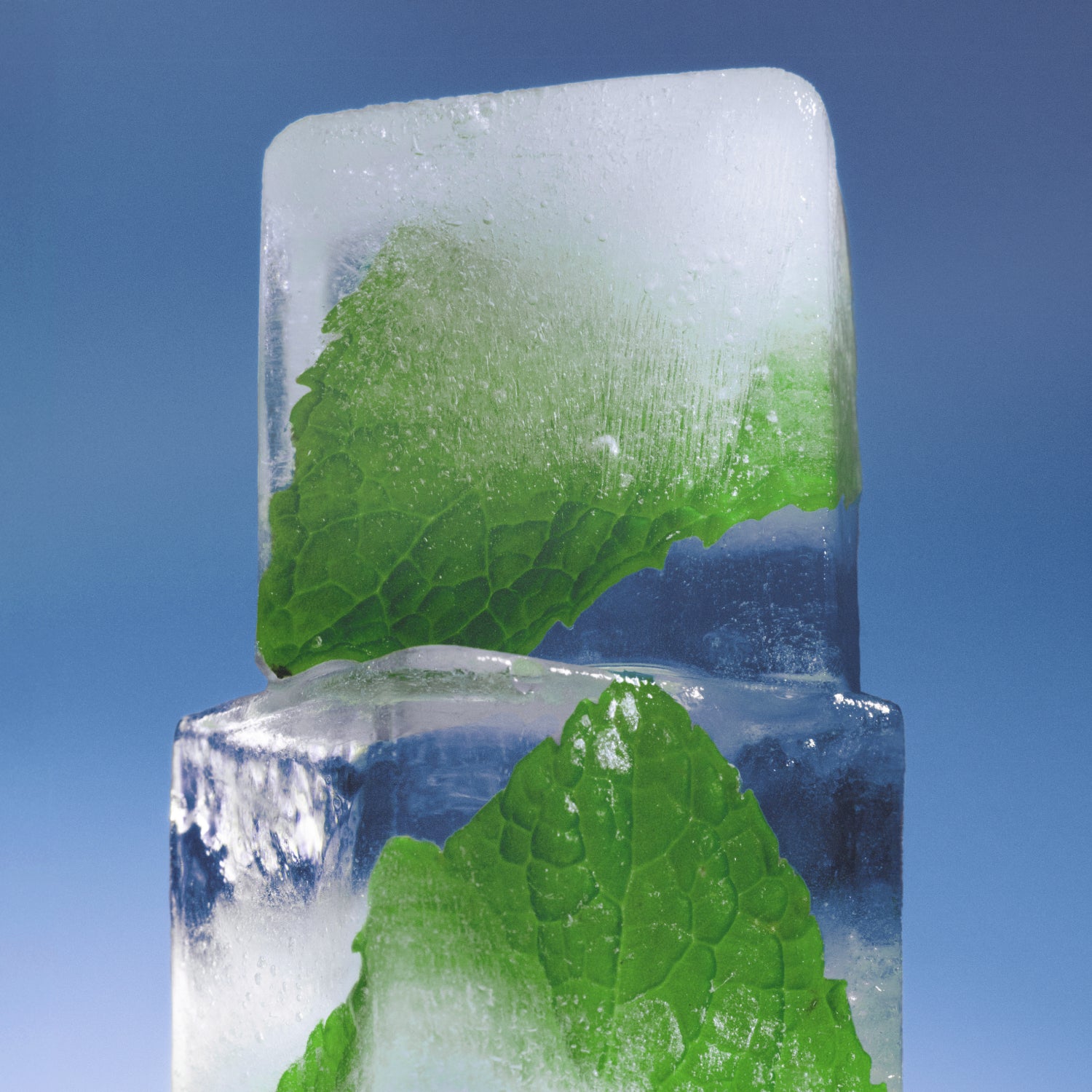 Sesh+ Mint Refill Bag 200 Pouches