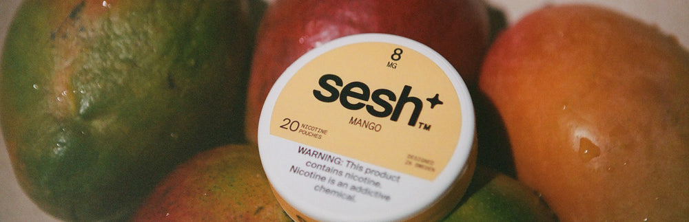 Best Mango flavor nicotine pouches 