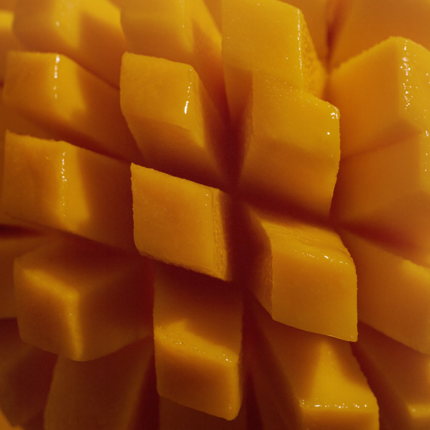 Sesh+ Mango Refill Bag 200 Pouches